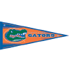 gators_win_2007.gif (15425 bytes)