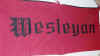 wesleyan_banner.jpg (429048 bytes)