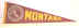 C3385_Montana.jpg (11035 bytes)